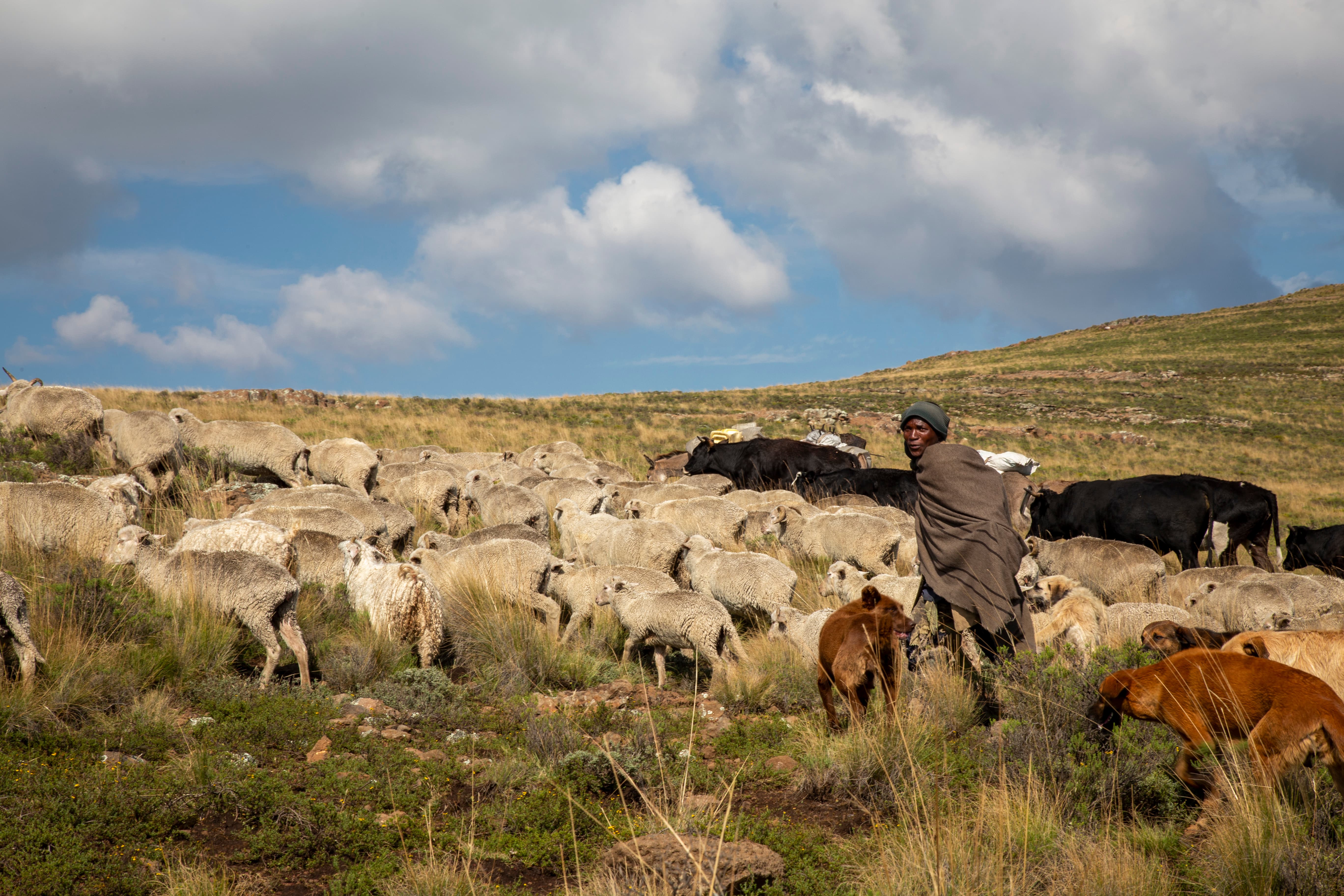 Restoring and Preserving Lesotho's Rangeland