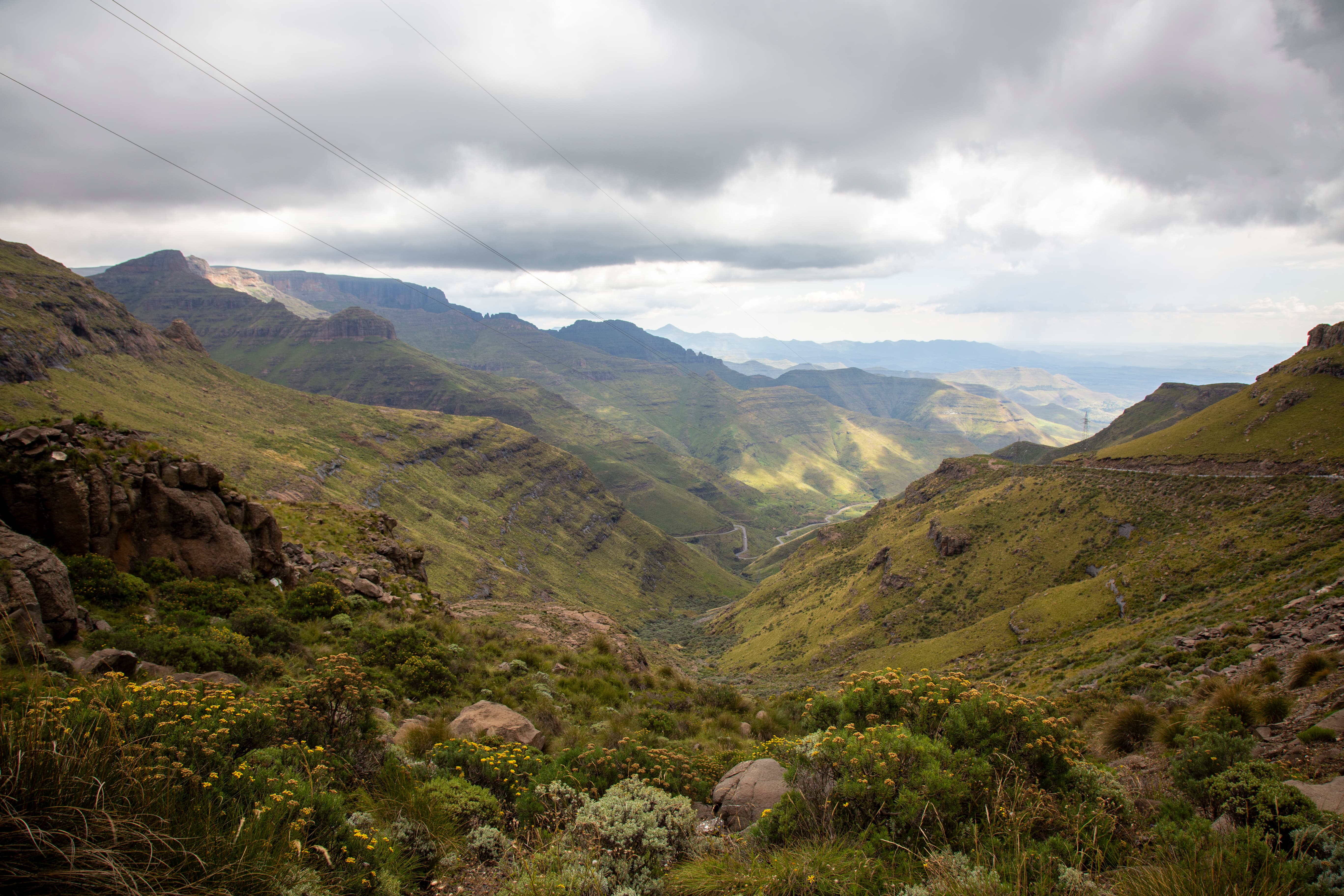 Community support initiatives