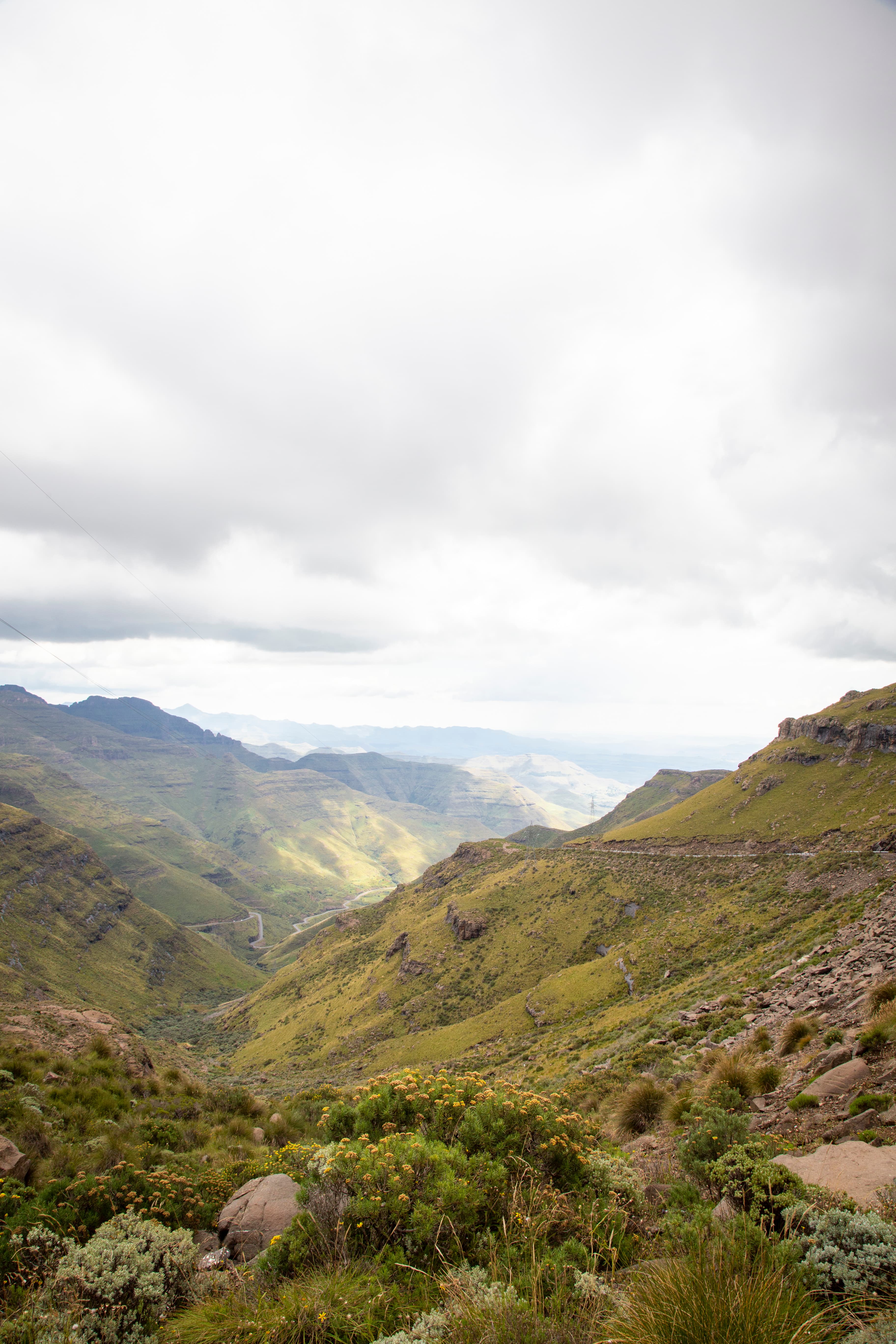 Humanitarian assessment