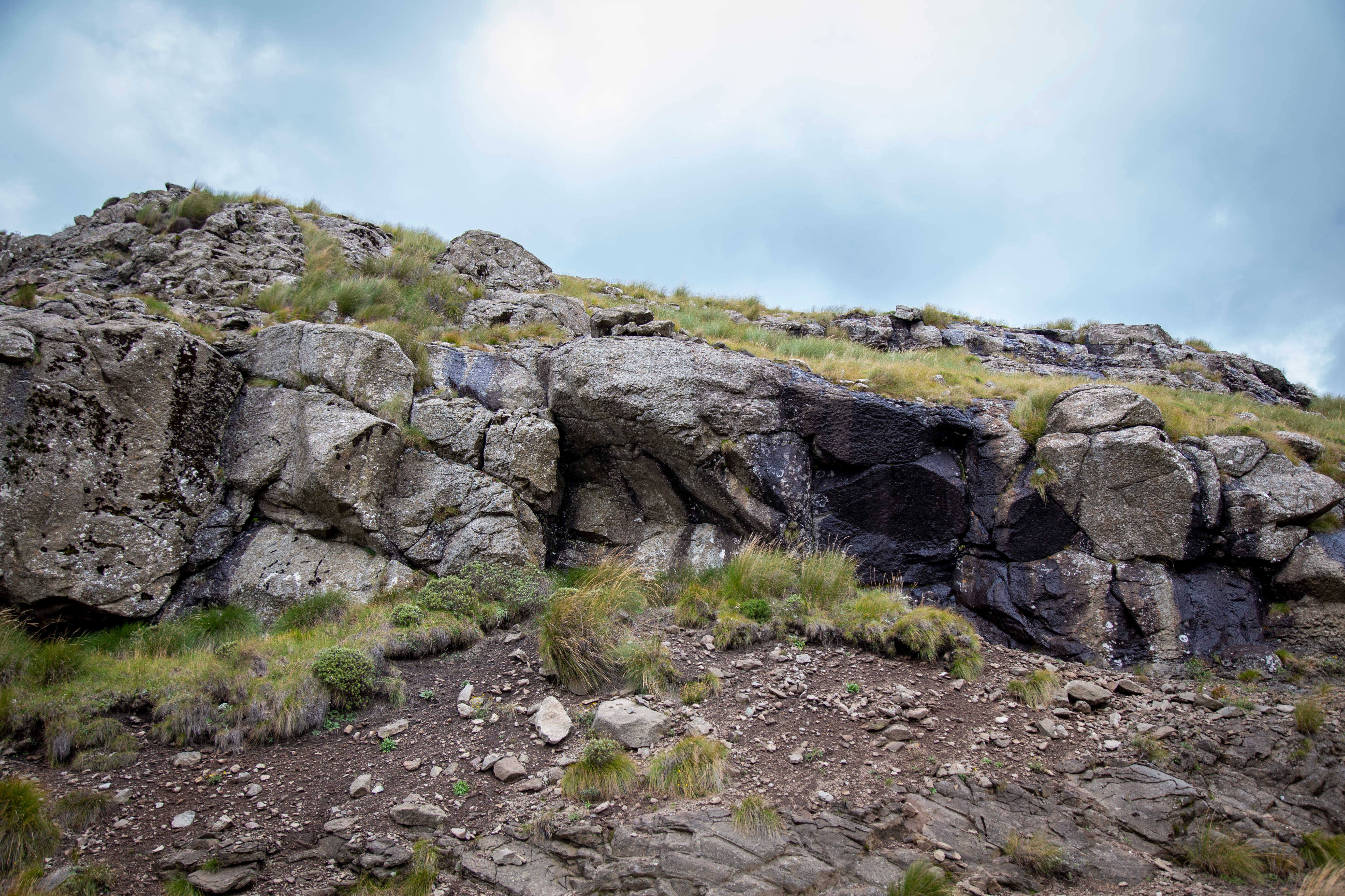 Emergency response coordination