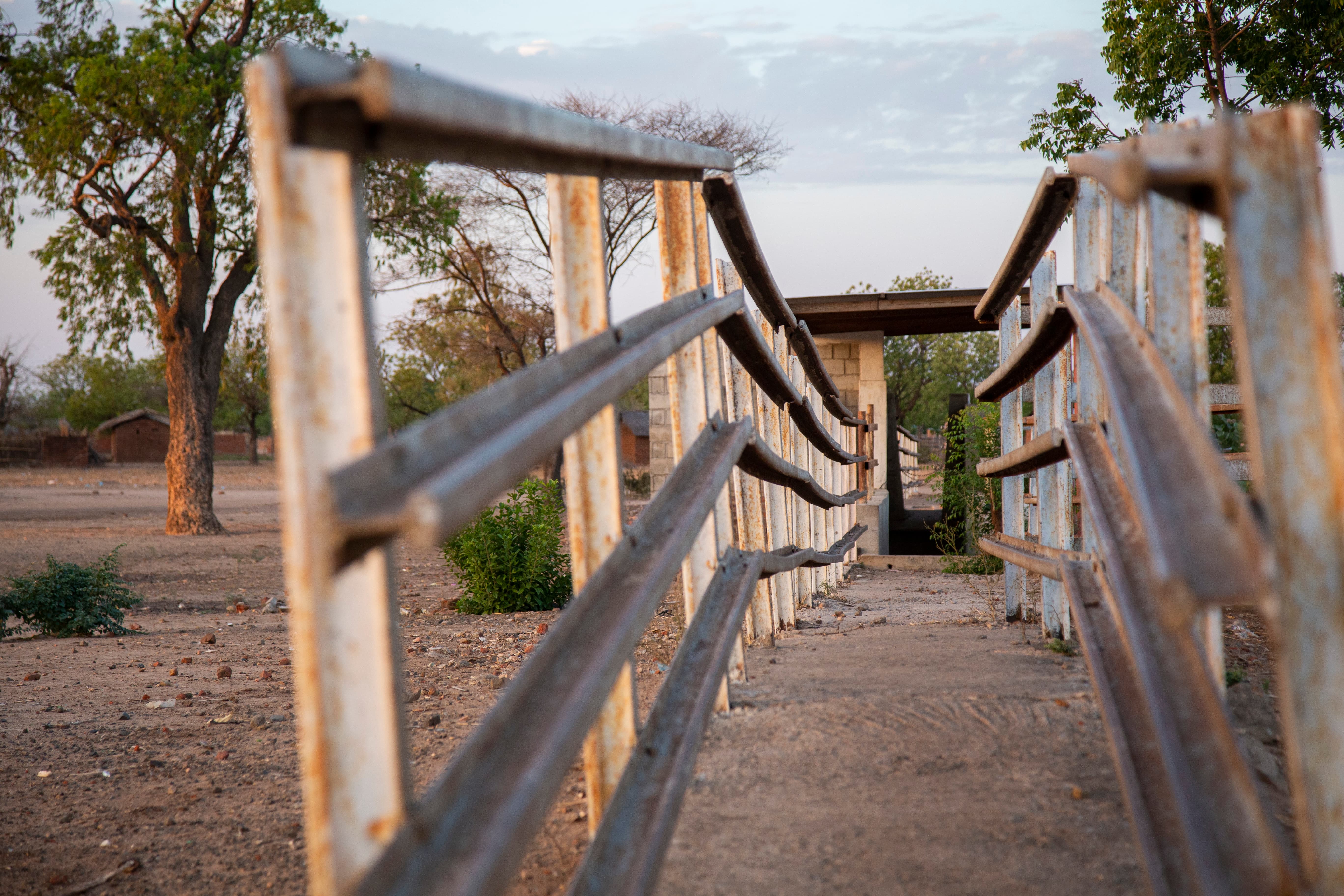 Nutritional support programs